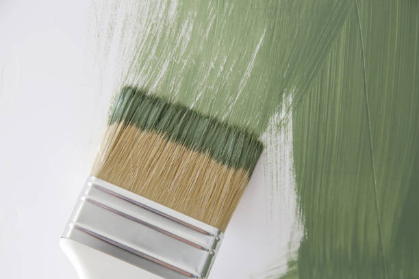 Best Attic Mold Removal  in Salem, WV