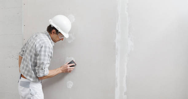 Best Emergency Mold Remediation  in Salem, WV