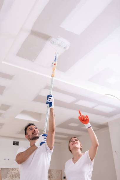 Best Water Damage & Mold Remediation  in Salem, WV