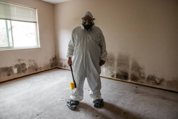 Best Biohazard Mold Removal  in Salem, WV