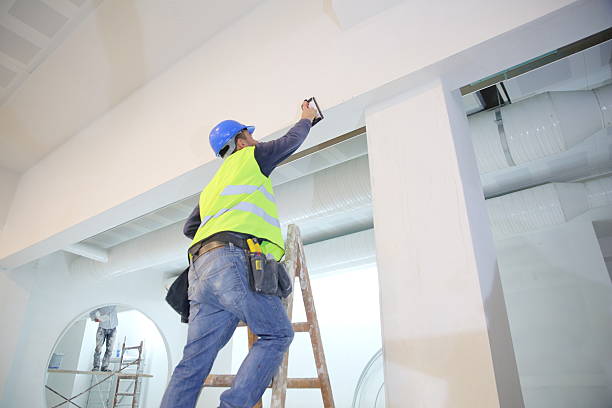 Salem, WV Mold Removal Company